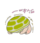 日ごろのかめガメ（個別スタンプ：31）