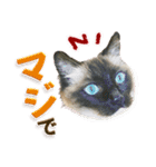 もふもふにゃんこ！！（個別スタンプ：5）