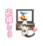 もふもふにゃんこ！！（個別スタンプ：10）