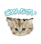 もふもふにゃんこ！！（個別スタンプ：12）
