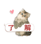 もふもふにゃんこ！！（個別スタンプ：13）