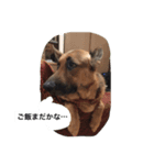 ラディック＆ジェフ（個別スタンプ：1）