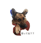ラディック＆ジェフ（個別スタンプ：2）