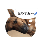ラディック＆ジェフ（個別スタンプ：5）