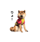 柴犬まめ太（個別スタンプ：26）