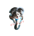 Hit（個別スタンプ：3）