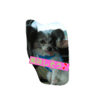 Hit（個別スタンプ：8）