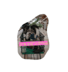 Hit（個別スタンプ：11）