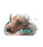 Hit（個別スタンプ：12）