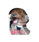Hit（個別スタンプ：13）
