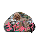 Hit（個別スタンプ：14）