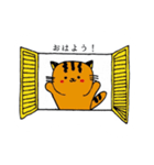 ツシマヤマネコ（個別スタンプ：5）