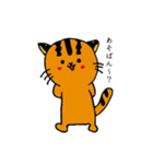 ツシマヤマネコ（個別スタンプ：17）