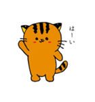 ツシマヤマネコ（個別スタンプ：24）