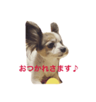 マイロ_2（個別スタンプ：3）