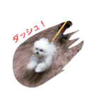 ぽんきちだっしゅ！（個別スタンプ：1）