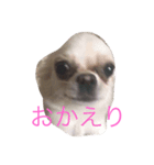 hello EV（個別スタンプ：1）