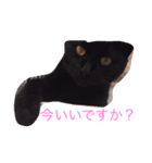 hello EV（個別スタンプ：6）