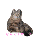 hello EV（個別スタンプ：7）
