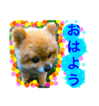 うちのはなこ（個別スタンプ：4）