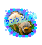 うちのはなこ（個別スタンプ：8）