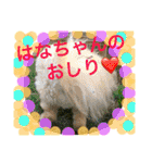 うちのはなこ（個別スタンプ：10）