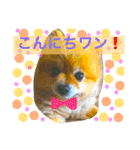 うちのはなこ（個別スタンプ：11）