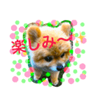 うちのはなこ（個別スタンプ：15）