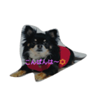 れおん君①（個別スタンプ：3）