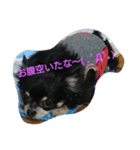 れおん君①（個別スタンプ：7）