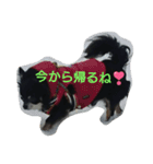 れおん君①（個別スタンプ：11）