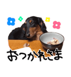 チョコばい。（個別スタンプ：1）