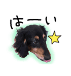 チョコばい。（個別スタンプ：3）