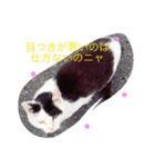 ニャンコの1日（個別スタンプ：7）