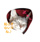 ニャンコの1日（個別スタンプ：8）