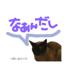 ぎゃびの（個別スタンプ：15）