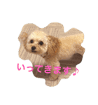ミニチュアダックスくーちゃんのお友達（個別スタンプ：16）
