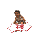 Tofu Daily2（個別スタンプ：1）