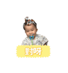 Tofu Daily2（個別スタンプ：6）