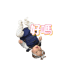 Tofu Daily2（個別スタンプ：13）