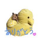 ポメプーAshとちっちゃな家族♪（個別スタンプ：7）
