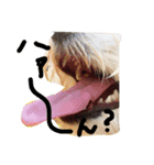 お犬さま（個別スタンプ：2）