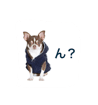 konaスタ（個別スタンプ：1）