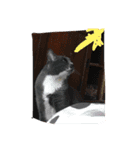 messages from July（個別スタンプ：8）