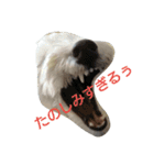 白シュナMUCC（個別スタンプ：19）
