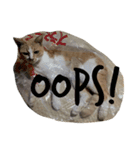 猫絵文字 英語ver（個別スタンプ：7）