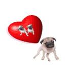 What the PUGs（個別スタンプ：3）