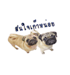 What the PUGs（個別スタンプ：23）