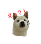 小雪の日常（個別スタンプ：9）