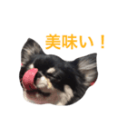 りきゅさんとひみ 3（個別スタンプ：5）